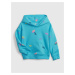 GAP Kids Hoodie - Boys