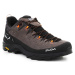 Salewa  Alp Trainer 2 Gore-Tex® Men's Shoe 61400-7953  Turistická obuv Viacfarebná