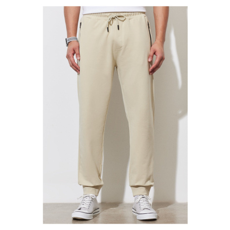 ALTINYILDIZ CLASSICS Men's Beige Standard Fit Regular Cut Sweatpants