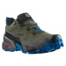 Salomon Cross Hike GTX