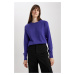 DEFACTO Regular Fit Crew Neck Basic Sweater