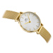 DÁMSKE HODINKY DANIEL WELLINGTON DW00100346 - Petite Evergold 36mm