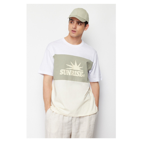 Trendyol Mint Relaxed/Comfortable Cut Text Printed Color Block 100% Cotton Short Sleeve T-Shirt