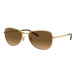 Ray-Ban RB3733 001/M2 Polarized - L (59)