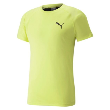 Puma RTG TEE Pánske športové tričko, svetlo zelená, veľkosť