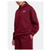 Under Armour Women's sweatshirt UA Icon Fleece OS Hoodie - Women's