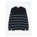 LC Waikiki Crew Neck Long Sleeve Striped Men's Knitwear Sweater