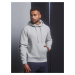 Light grey men's hoodie Authentic Russell