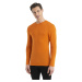 Icebreaker Merino 175 Everyday Crewe Thermal Top