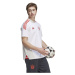 Pánske tréningové tričko FC Bayern Polo M HB0614 - Adidas