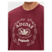 Adidas Mikina Graphics Archive Crew Sweatshirt IC5770 Červená Regular Fit