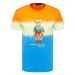 Polo Ralph Lauren Tričko  nebesky modrá / svetlohnedá / mätová / oranžová