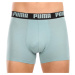 2PACK pánske boxerky Puma viacfarebné (521015001 061)