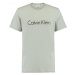 Pánské tričko model 7977556 šedá - Calvin Klein