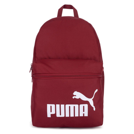 Pánske športové batohy Puma