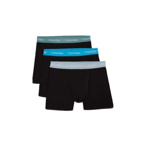 Pánske boxerky CALVIN KLEIN 3 PACK-TRUNK-B- VIVID BL, ARONA, SAGEB GRN WBS