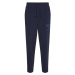 Tommy Jeans Tepláky - TJM COLLEGIATE BAXTER SWEATPANT modré