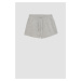 DEFACTO Regular Fit Normal Waist Short Basic Shorts