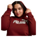 Puma ESS Logo Hoodie FL W 586789 13 mikina