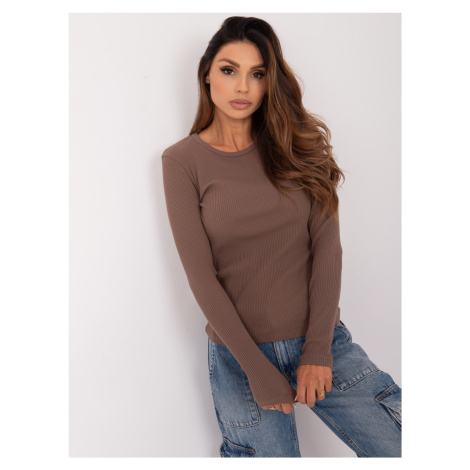 Brown basic blouse with long sleeves