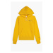 Champion Hooded 111556 YS001