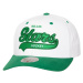 Dallas Stars čiapka baseballová šiltovka Tail Sweep Pro Snapback Vintage