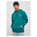 Starter Small Logo Hoody retro green