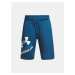 Modré športové kraťasy Under Armour UA Prototype 2.0 Logo Shorts