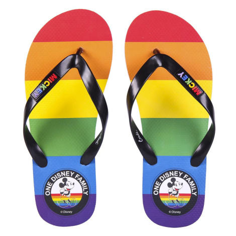 FLIP FLOPS DISNEY PRIDE