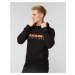 Mikina Mammut Hoody Logo