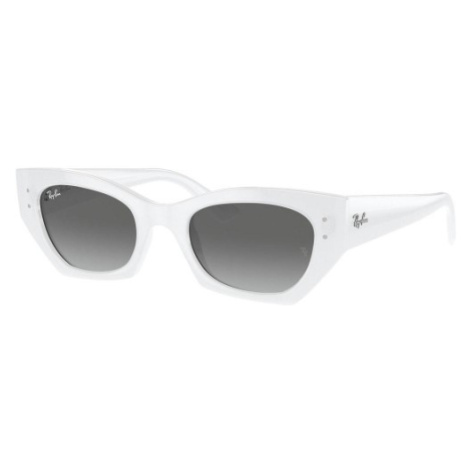Ray-Ban RB4430 675911 - L (52)