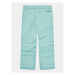 Columbia Outdoorové nohavice Bugaboo™ II Pant Zelená Regular Fit