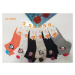 Dámské ponožky MIX směs barev model 16112004 - PRO