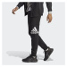 Pánske tepláky ADIDAS M BL FT PT-HA4342-Black