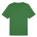 Puma GRAPHIC YEAR OF SPORTS TEE Pánske tričko, zelená, veľkosť