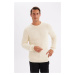 DEFACTO Standard Fit Regular Cut Crew Neck Textured Knitwear Sweater