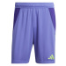 Šortky adidas Tiro 24 M IT2413