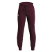 Children's sweatpants Under Armour Rival Fleece Joggers