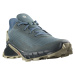 Salomon Alphacross Stargazer/Carbon/Moss Gray, EU ⅔ Pánske topánky