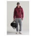 MIKINA GANT SMALL GRAPHIC SWEAT HOODIE WINE RED