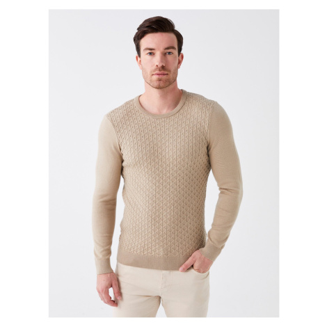 LC Waikiki Crew Neck Long Sleeve Men's Knitwear Sweater