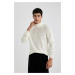 DEFACTO Standard Fit Turtleneck Sweater