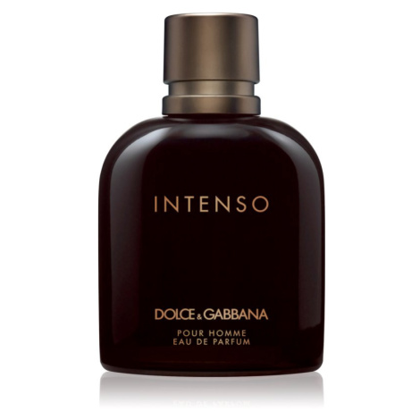 Pánske parfémy Dolce & Gabbana