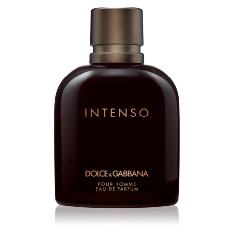 Dolce & Gabbana Pour Homme Intenso parfumovaná voda pre mužov