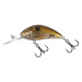 Salmo wobler rattlin hornet floating pearl shad clear - 5,5 cm