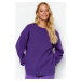 Trendyol Purple Oversize/Comfortable fit Basic Crew Neck Thick/Polarized Knitted Sweatshirt