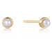 Ania Haie E043-01G Earrings - Pearl Power