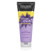 John Frieda Sheer Blonde Violet Crush tónovací kondicionér pre blond vlasy