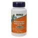 Now Potassium Gluconate, 99 mg, 100 tablet