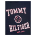 TOMMY HILFIGER Tričko 'Varsity'  námornícka modrá / pastelovo ružová / červená